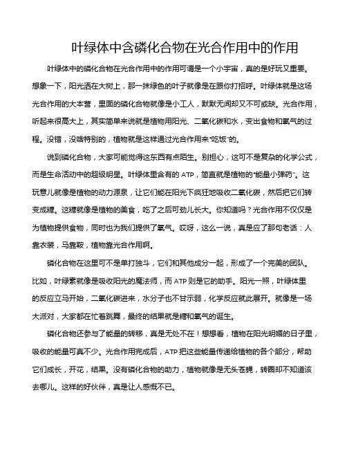 叶绿体中含磷化合物在光合作用中的作用