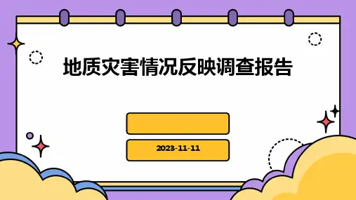 地质灾害情况反映调查报告
