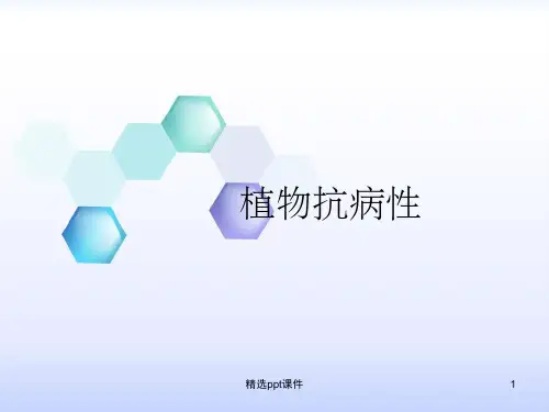 《植物抗病性终》PPT课件