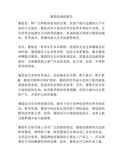 葡萄的调研报告