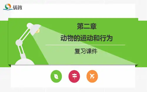 《动物的运动和行为》复习课件