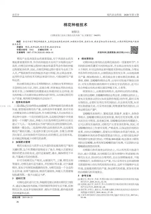 棉花种植技术
