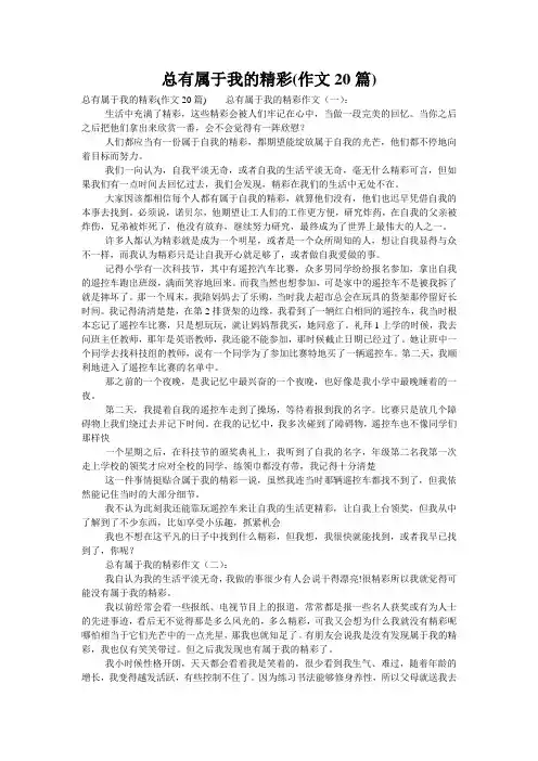 总有属于我的精彩(作文20篇)