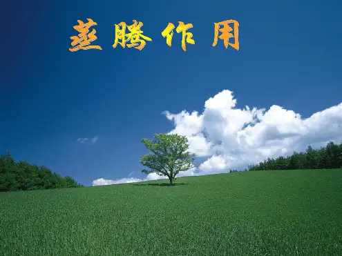 54蒸腾作用课件2北师大版七年级上