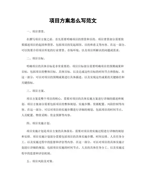 项目方案怎么写范文