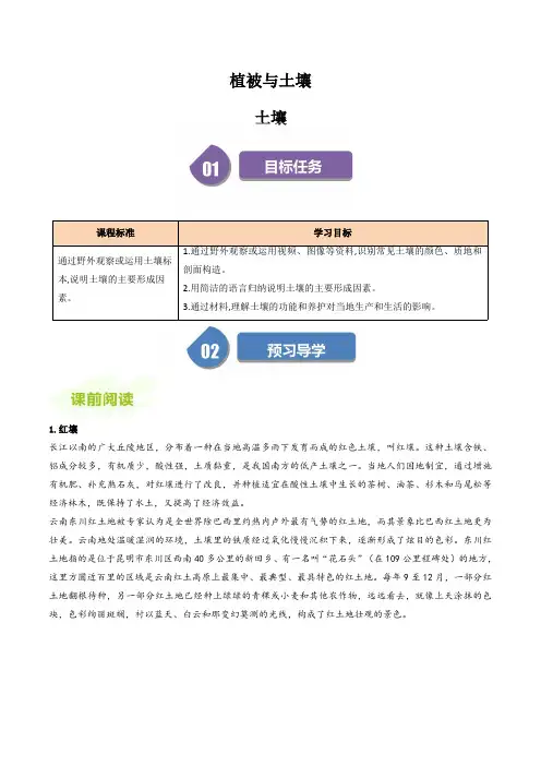 高中地理人教版必修第一册教案讲义：土壤(解析版)