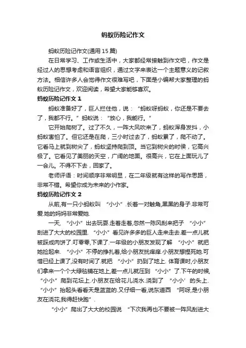 蚂蚁历险记作文