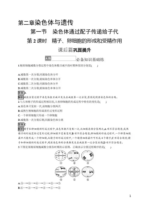 浙教版高中生物必修2 课后习题 第二章 第一节 第2课时 精子、卵细胞的形成和受精作用
