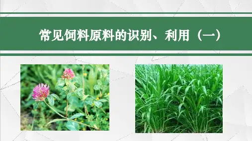 【畜牧基础课件】常见饲料原料的分类、识别、利用(一)