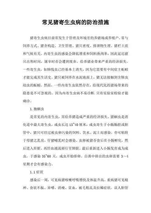 常见猪寄生虫病防治措施