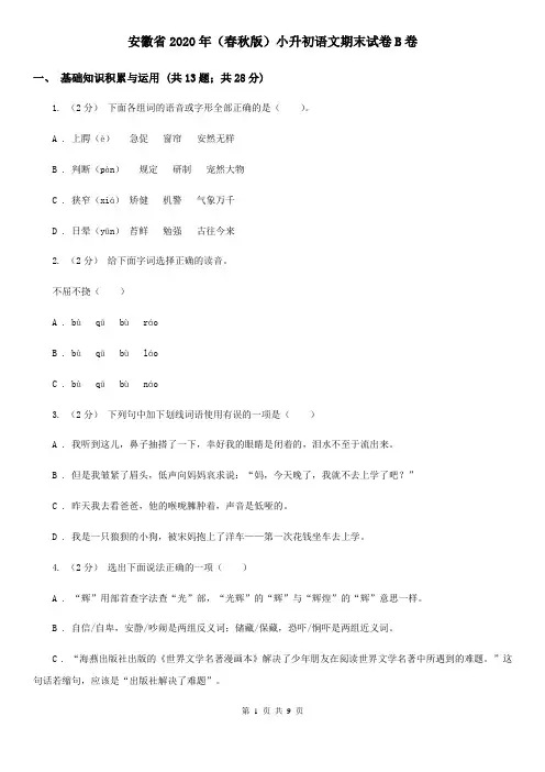 安徽省2020年(春秋版)小升初语文期末试卷B卷
