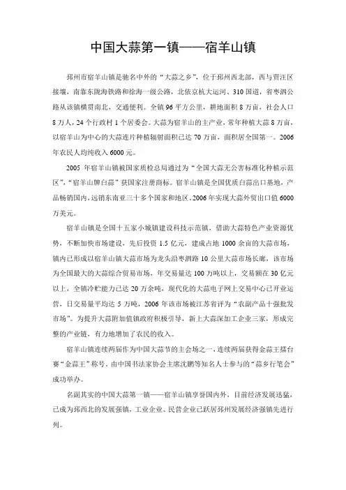 中国大蒜第一镇宿羊山镇简介