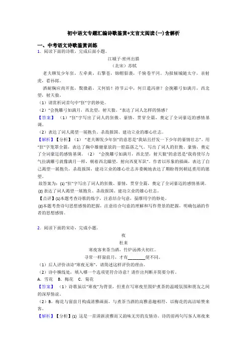 初中语文专题汇编诗歌鉴赏+文言文阅读(一)含解析 (3)
