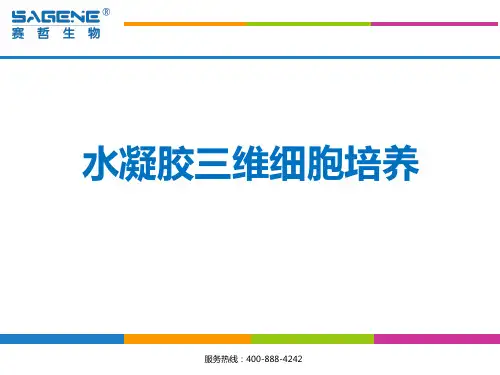 三维细胞培养技术培训ppt课件