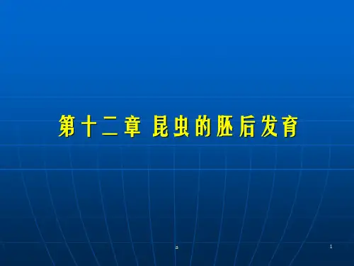 昆虫的胚后发育