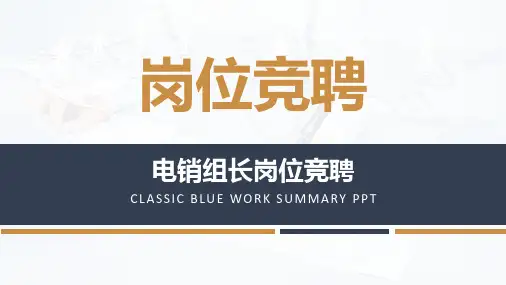 电销组长岗位竞聘ppt