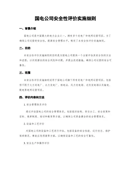 国电公司安全性评价实施细则