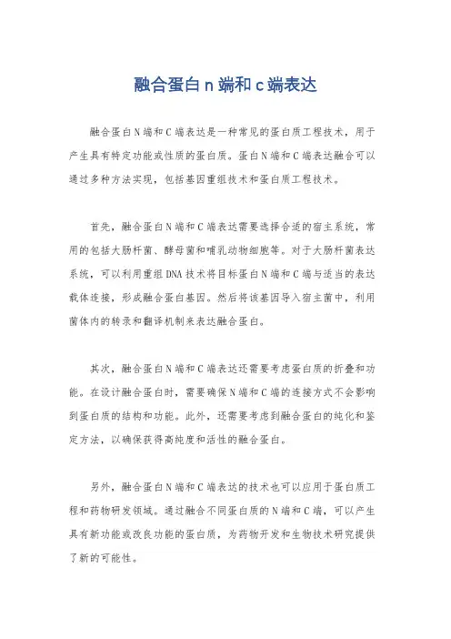 融合蛋白n端和c端表达