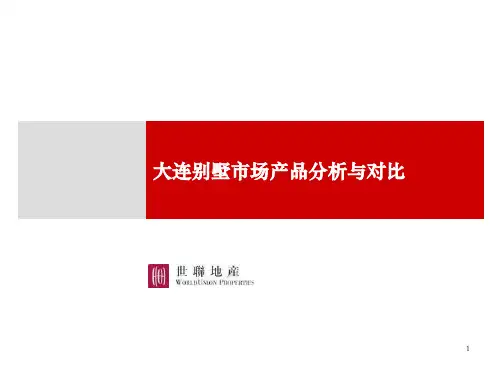 大连别墅产品分析报告(营销经典案例)