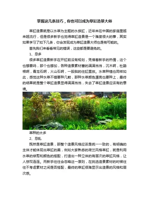 掌握这几条技巧，你也可以成为草缸造景大师