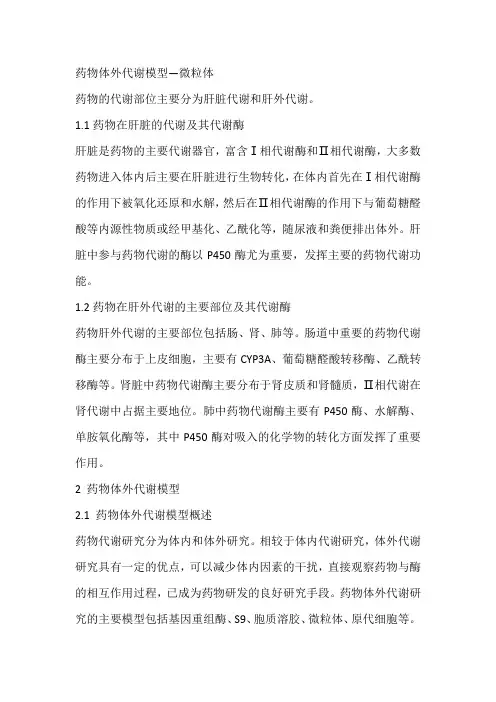 药物体外代谢模型—微粒体