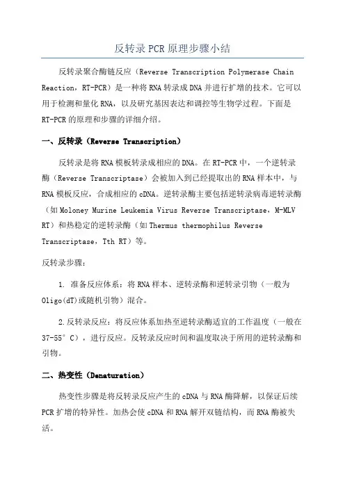 反转录PCR原理步骤小结