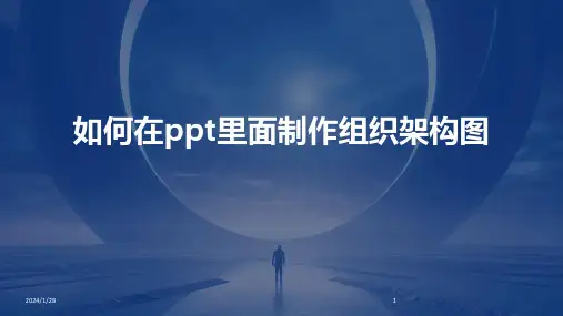 如何在ppt里面制作组织架构图(2024)