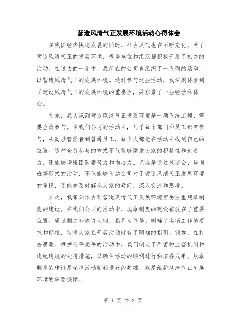 营造风清气正发展环境活动心得体会