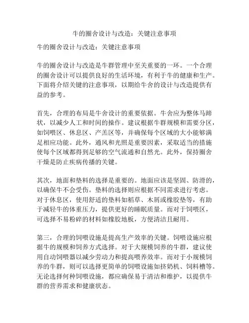牛的圈舍设计与改造：关键注意事项