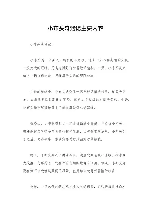 小布头奇遇记主要内容