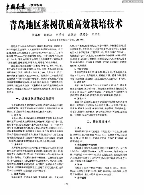 青岛地区茶树优质高效栽培技术