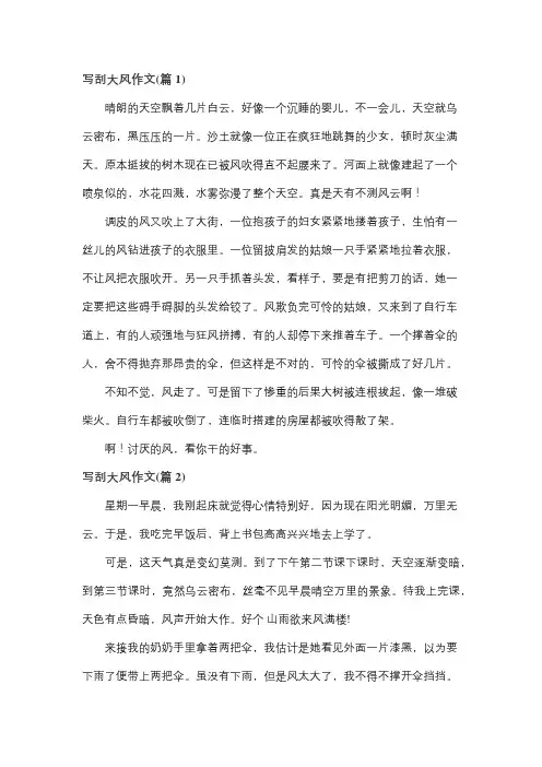 刮大风作文不少于500字