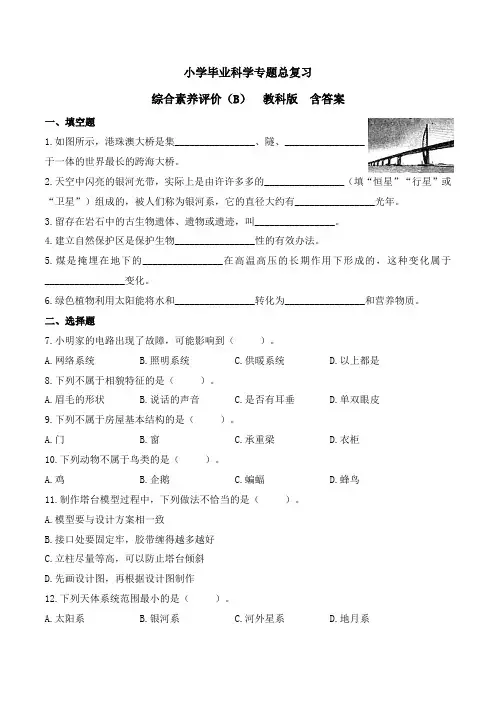 小学毕业科学专题总复习综合素养评价(B)教科版含答案