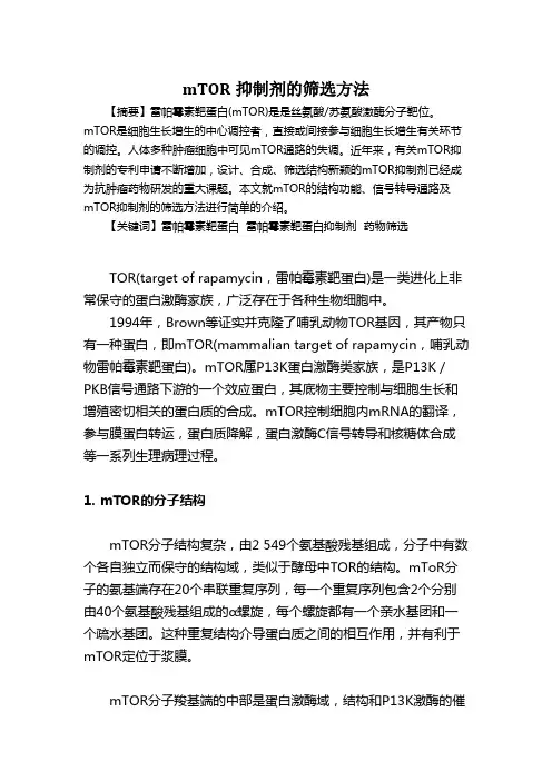 mTOR抑制剂的筛选方法