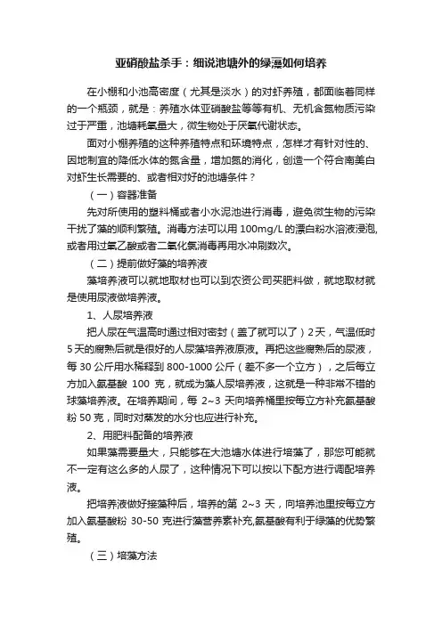 亚硝酸盐杀手：细说池塘外的绿藻如何培养