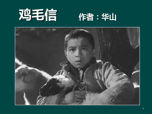 鸡毛信PPT课件