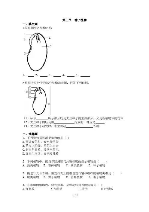 《种子植物》同步练习1