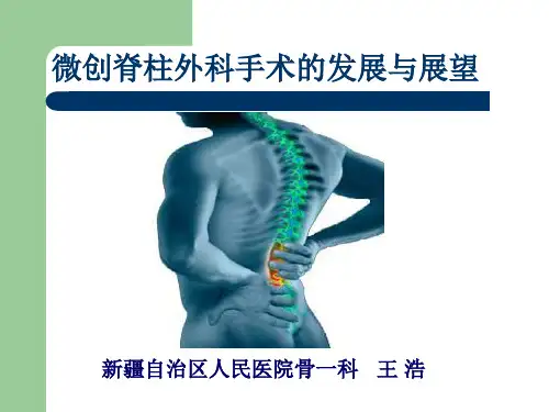创伤脊柱手术和展望