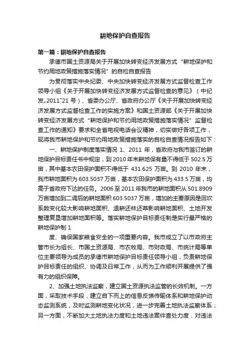 耕地保护自查报告