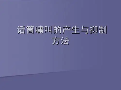 8话筒啸叫和处理