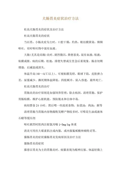 犬肠胃炎症状治疗方法