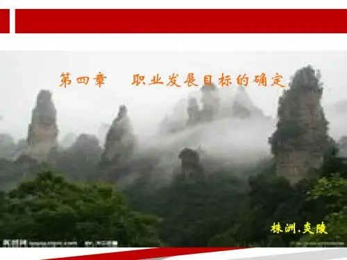 职业生涯规划第四章职业发展目标的确定.ppt.ppt.ppt