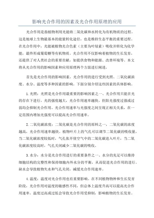 影响光合作用的因素及光合作用原理的应用