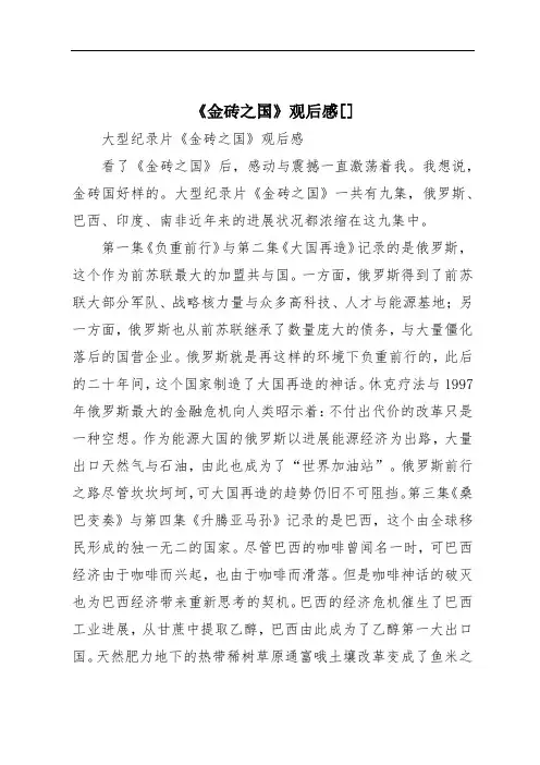 《金砖之国》观后感[]