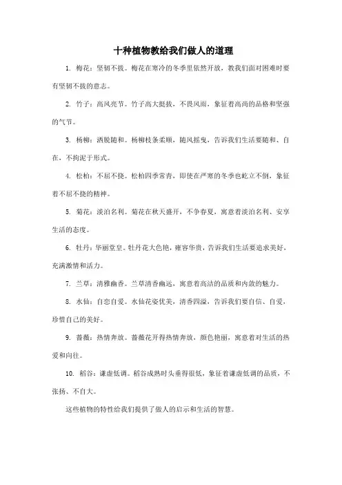 十种植物教给我们做人的道理