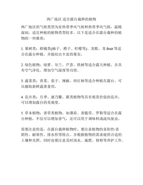 两广地区 适合露台栽种的植物