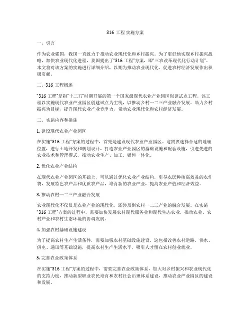 316工程 实施方案