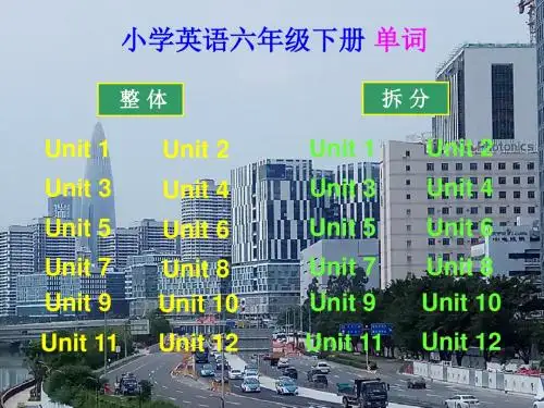 沪教牛津版小学英语六年级下册单词(电脑版)