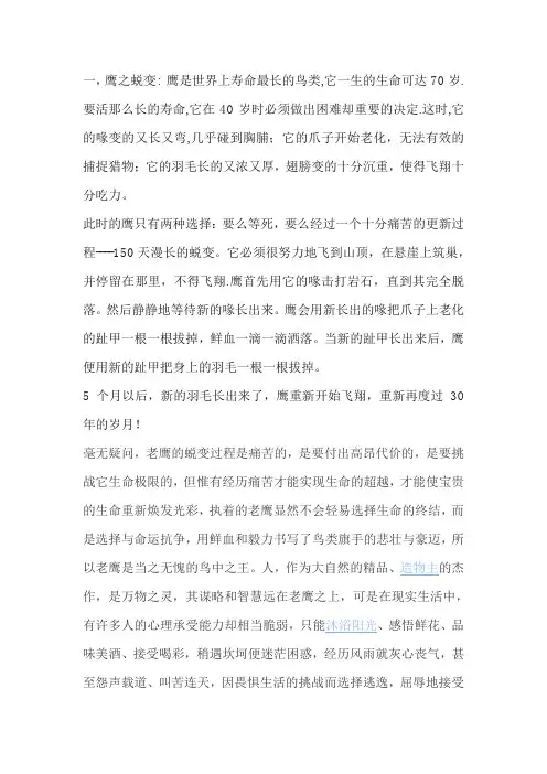 老鹰的蜕变