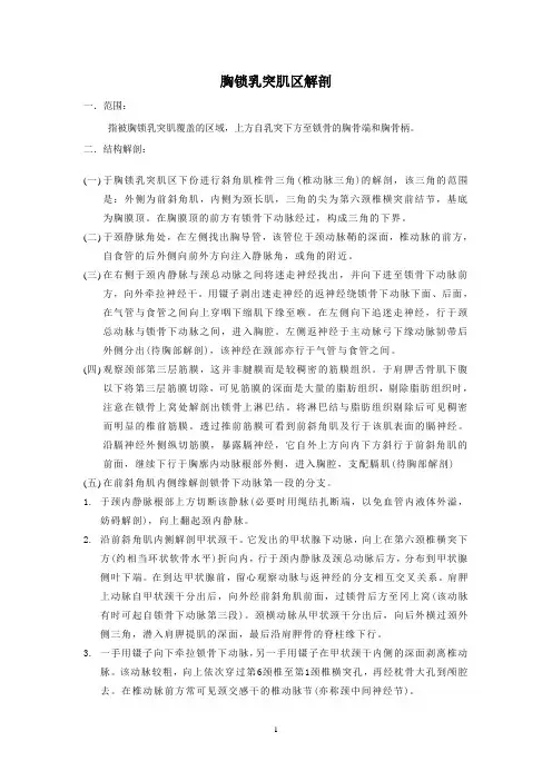 上肢前面的解剖